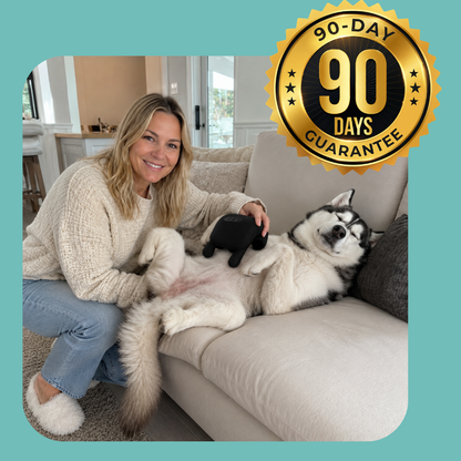 Handiva™ Calming Pet Massager